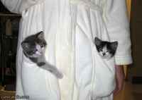 Saunatakin vakiovarusteet