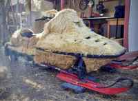 Poronnussijan kelkka