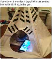 Ei kisseä voi liikaa hemmotella :3