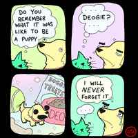 Oli ihmeellistä aikaa ;__;