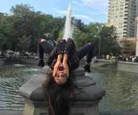 Sellanen squirt eli kusiruiskuorgasmi