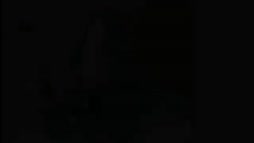 Japanilaisten historiankäsitys: Jatkosota ja Lapin sota