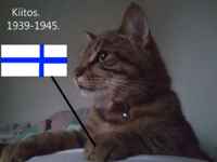 Hyvää itsenäisyyspäivää :3