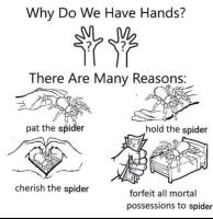 Miksi meillä on kädet?