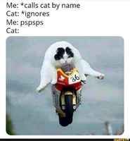 Mäy mäy mäy mäy mäy :3