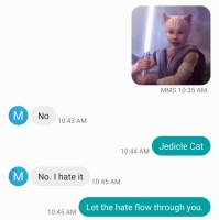 Jedicle cat