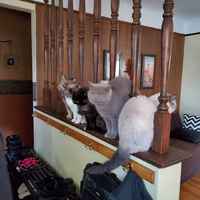 Otetaanko ryhmäkuva?