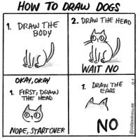 Miten yrittää piirtää koira