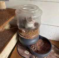 Kuinkas sitten kävikään?