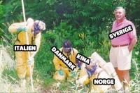Ruotsin koronatoimet