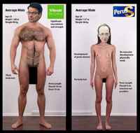 normi perussuomalainen