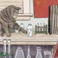 näin se kaikki alkoi