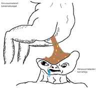 Persujen äänestäjät