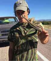 Halusi näyttää löytämäänsä kärmestä