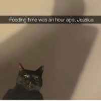 Without shedding of blood, there is no forgiveness >:3