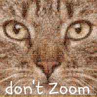 Paras kissakuva ikinä