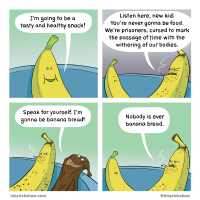 Banaanien kohtalo