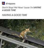 Hyvää aikaa. HYVÄÄ AIKAA!