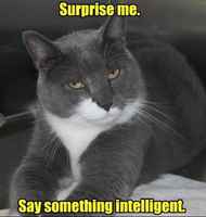 Vaihtelu virkistäisi >:3