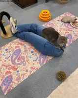 Tekosylkky ja pari börhnappia :3