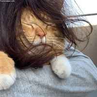 Tuli se leijonapatukkamainos mieleen