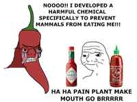 Herkullinen tulisuus