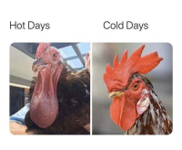 lämpimät ja kylmät päivät