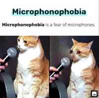 Microphonophobia