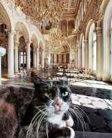 Eremitaašin kissoja 3