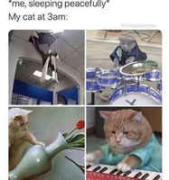 Kolmelta aamuyöstä