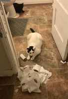 Se oli tällä tavalla kun tulimme tänne?