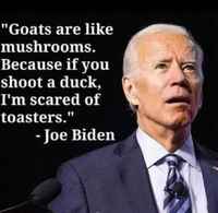 Bidenin mietelause