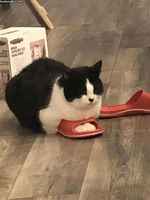 Heard you like loafs and sand so we put börh-loaf in your sandal