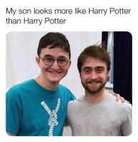 Harry Potterit
