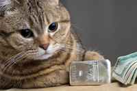 More money more börh - kokoelma