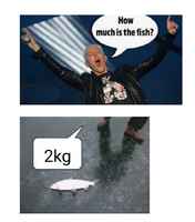 how mutch is the fish