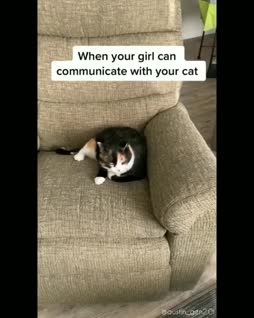 kissojen kieltä