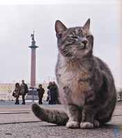 Aleksanterin pylväs Palatsiaukiolla