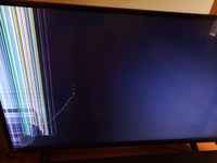 Hyvästi uljas mölllöttimeni