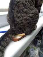 anna kun lämmitän sen sinulle :3