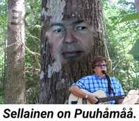 Sellaiset psykoosit sitte