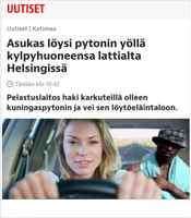 pyyttoni