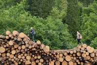 See honey, it's only 2 kilometers of these