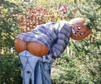Thicc pumpkin man