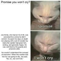 Dont you cry tonight