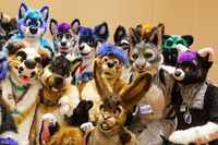 Luolaston ylläpidon turrimiitti 2020