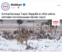 Eläinpornoa maikkarilla