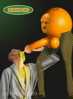 appelsiini