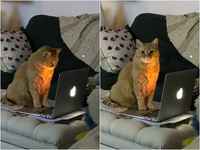 mitä juuri katsoin :3