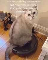 lähde jo käyntiin :3